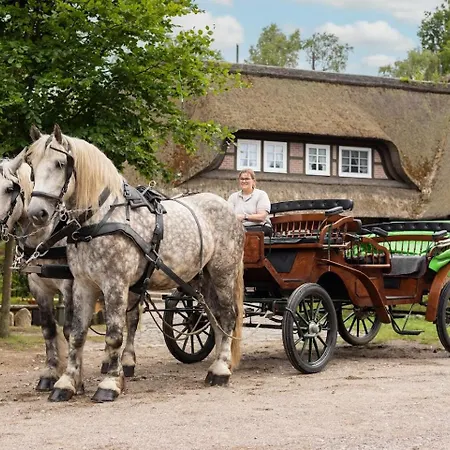 Undeloher Hof 3* Undeloh