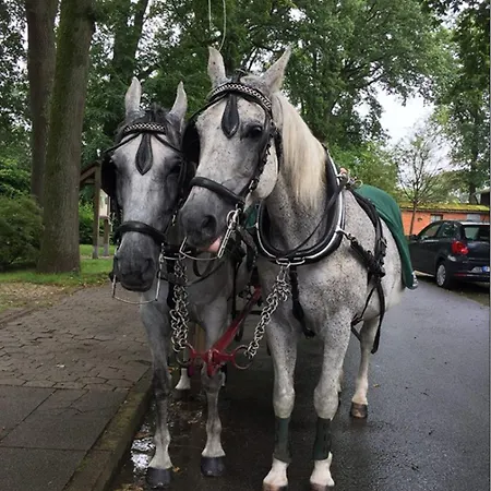 Undeloher Hof 3* Undeloh