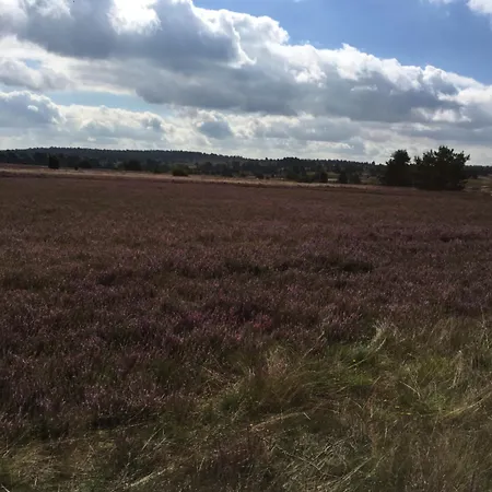 Hotel Undeloher Hof Undeloh